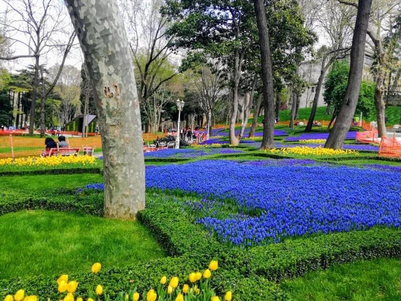 Apartament Delightful Sultanahmet I *
